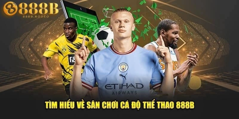 Sảnh cá cược thể thao 888B